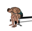 Posterior Raise - Bent Over Seated
